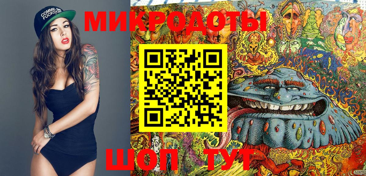 Губаха  Псилоцибиновые грибы мухоморы  Вход с VPN 