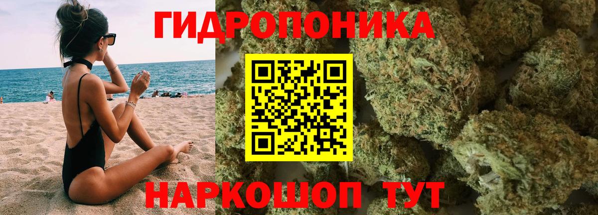 Марихуана конопля Губаха